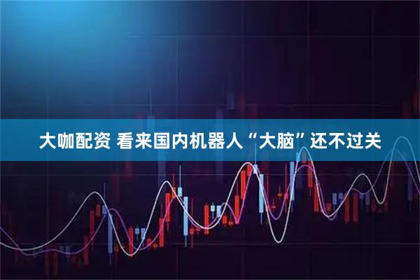 大咖配资 看来国内机器人“大脑”还不过关
